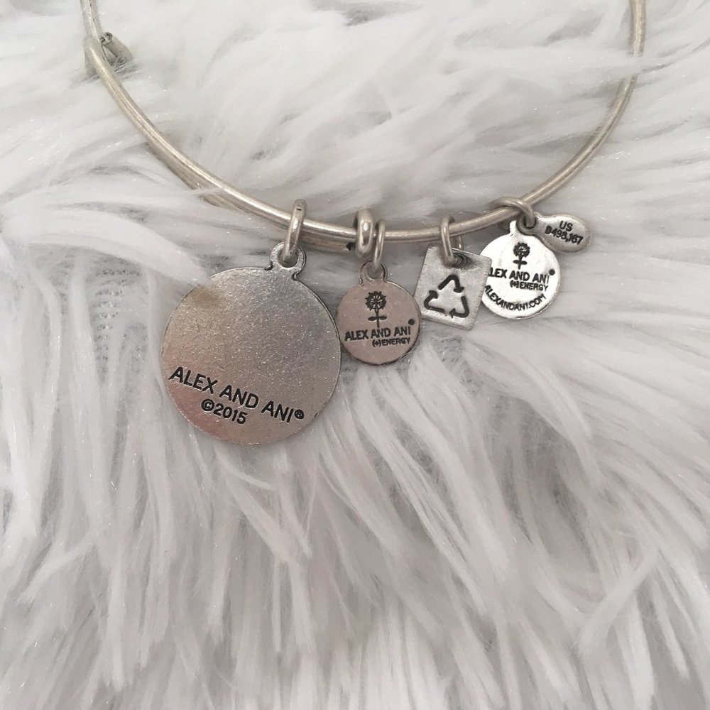 Alex and Ani Charity by Designs Charm Bracelet - Picture 2 of 2